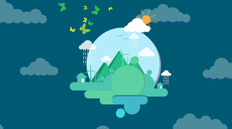 肠胃敏感犬粮精准营养方案